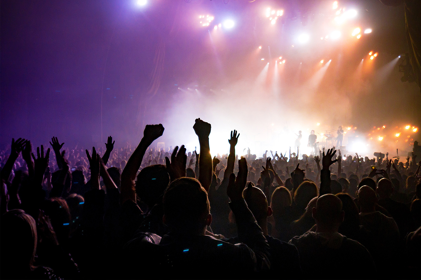 Audience cheering during a concert