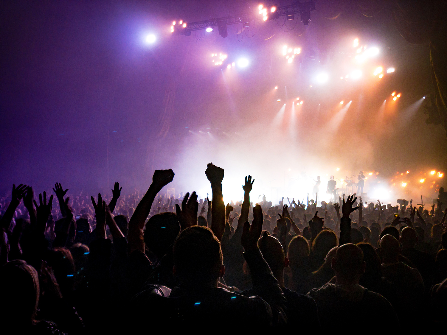 Audience cheering during a concert